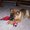 Photo of Robbyn H.