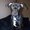 Photo of Dessa T.