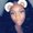 Photo of Keani R.