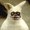 Photo of Lonnie V.
