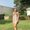 Photo of Katie F.