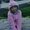 Photo of Melissa P.