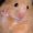 Photo of Sophy L.