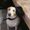 Photo of Madhvi Y.