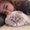 Photo of Angie N.
