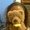 Photo of Tanya H.