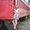 Photo of Tirzah T.