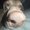 Photo of Trent M.
