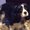 Photo of Polly S.