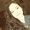 Photo of Kayla R.