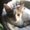 Photo of Brody B.