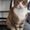 Photo of K. S.