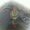 Photo of JiaQi L.