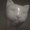 Photo of Jacko U.