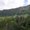 Photo of Joanna K.