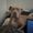 Photo of Riley S.