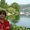 Photo of Joyce S.