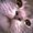 Photo of Ammy D.