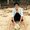 Photo of Saurabh K.