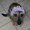 Photo of C. H.