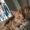 Photo of Beth H.