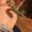 Photo of Tess M.