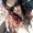 Photo of Jessica M.
