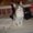 Photo of Nancy T.