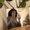 Photo of Candace N M.