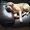 Photo of Qype User (gillyb…)