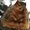 Photo of Qype User (Kassle…)