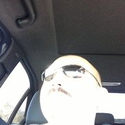 google avatar