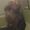 Photo of Mrs M.