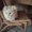 Photo of Susie Q.