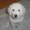 Photo of Tracie S.