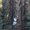 Photo of Manal B.