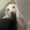 Photo of Lily Q.