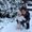 Photo of Nina H.