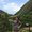 Photo of Sue L.