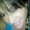 Photo of Bonjeani B.