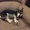 Photo of Sharra G.
