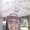 Photo of Fabian R.