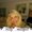 Photo of Debbie B.