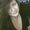 Photo of Crystal H.