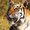 Photo of Qype User (george…)