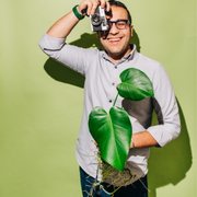 google avatar