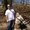Photo of Daryll L.