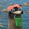 Aiden F. profile picture