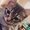 Photo of Fifi D.