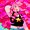 Photo of Cutie M.